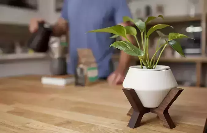 Lander Planter 