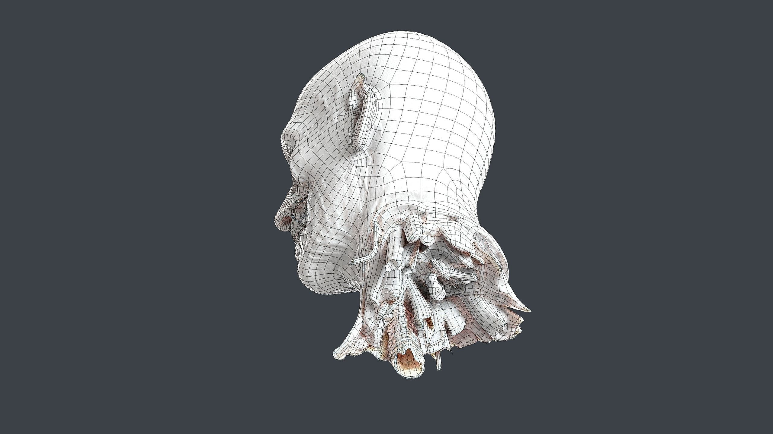 Severed Head Low-poly 3D model_15