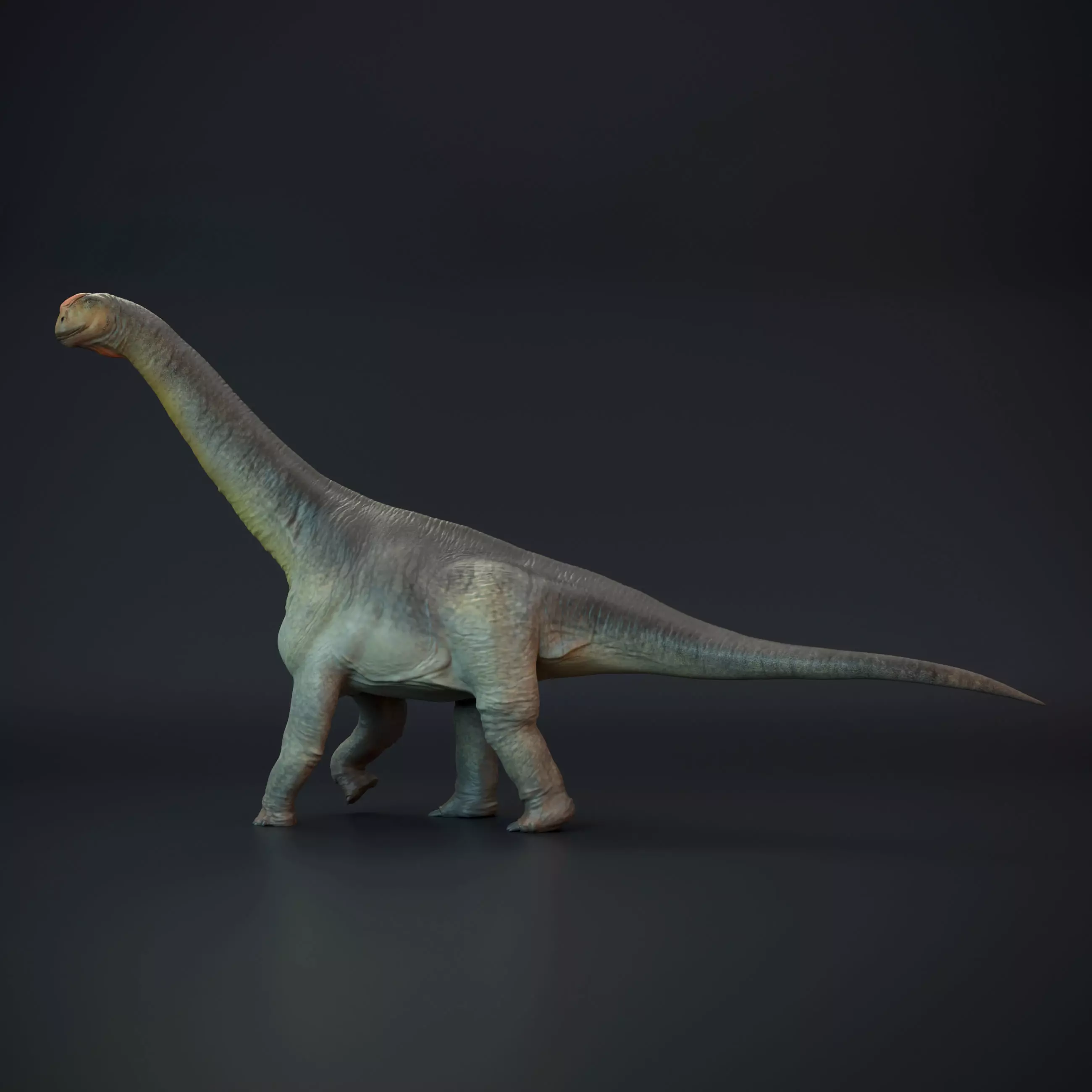 Camarasaurus walking 3D print model