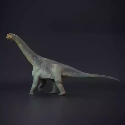 Camarasaurus walking