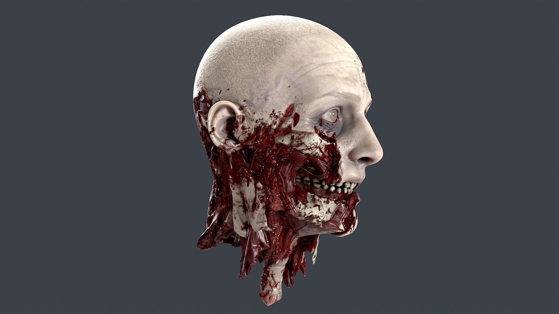 Severed Head 2 Low-poly 3D model_2