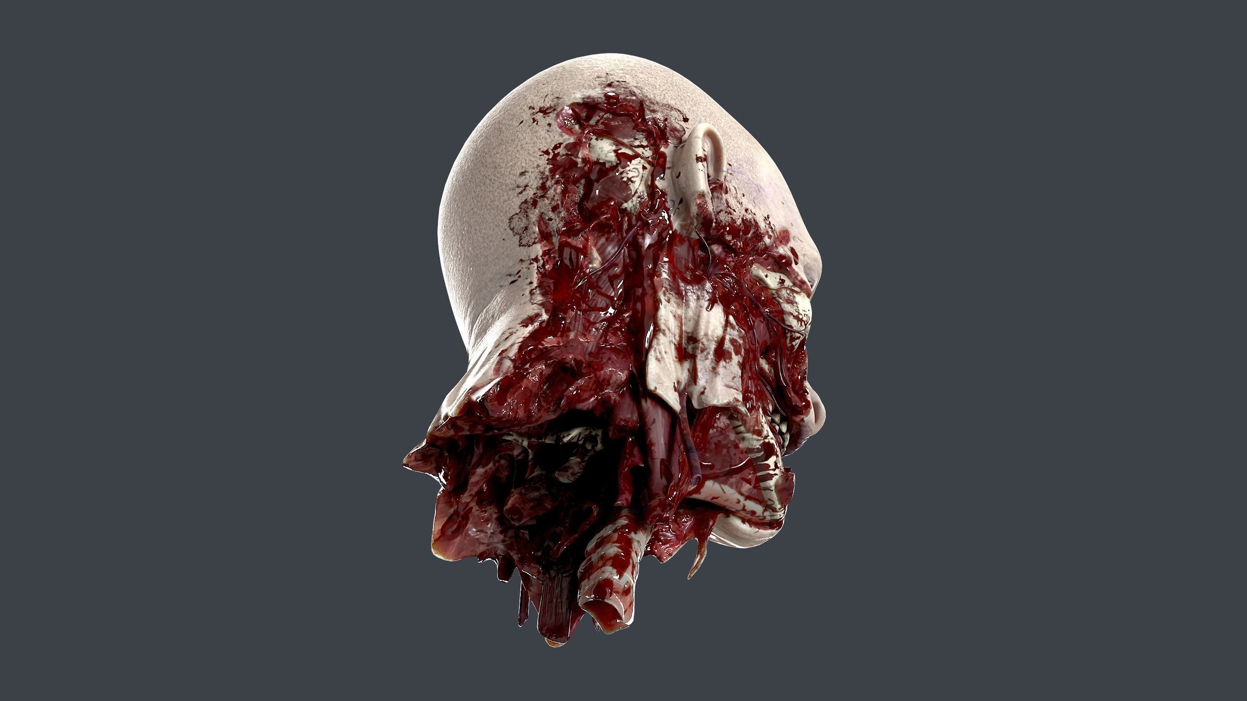 Severed Head 2 Low-poly 3D model_7