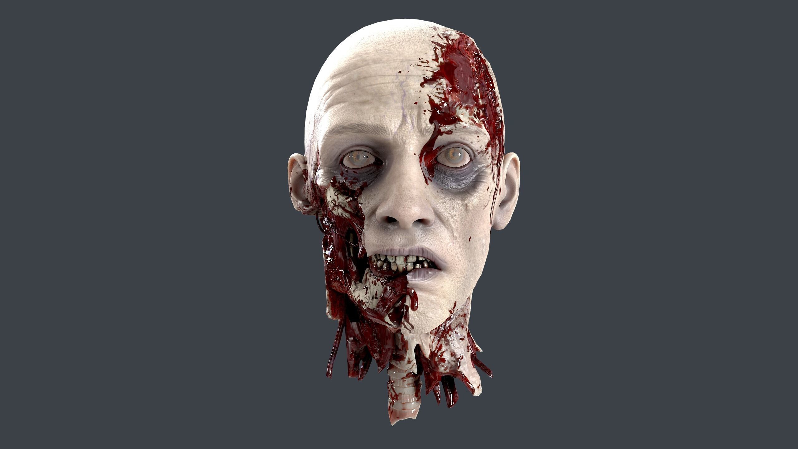 Severed Head 2 Low-poly 3D model_1