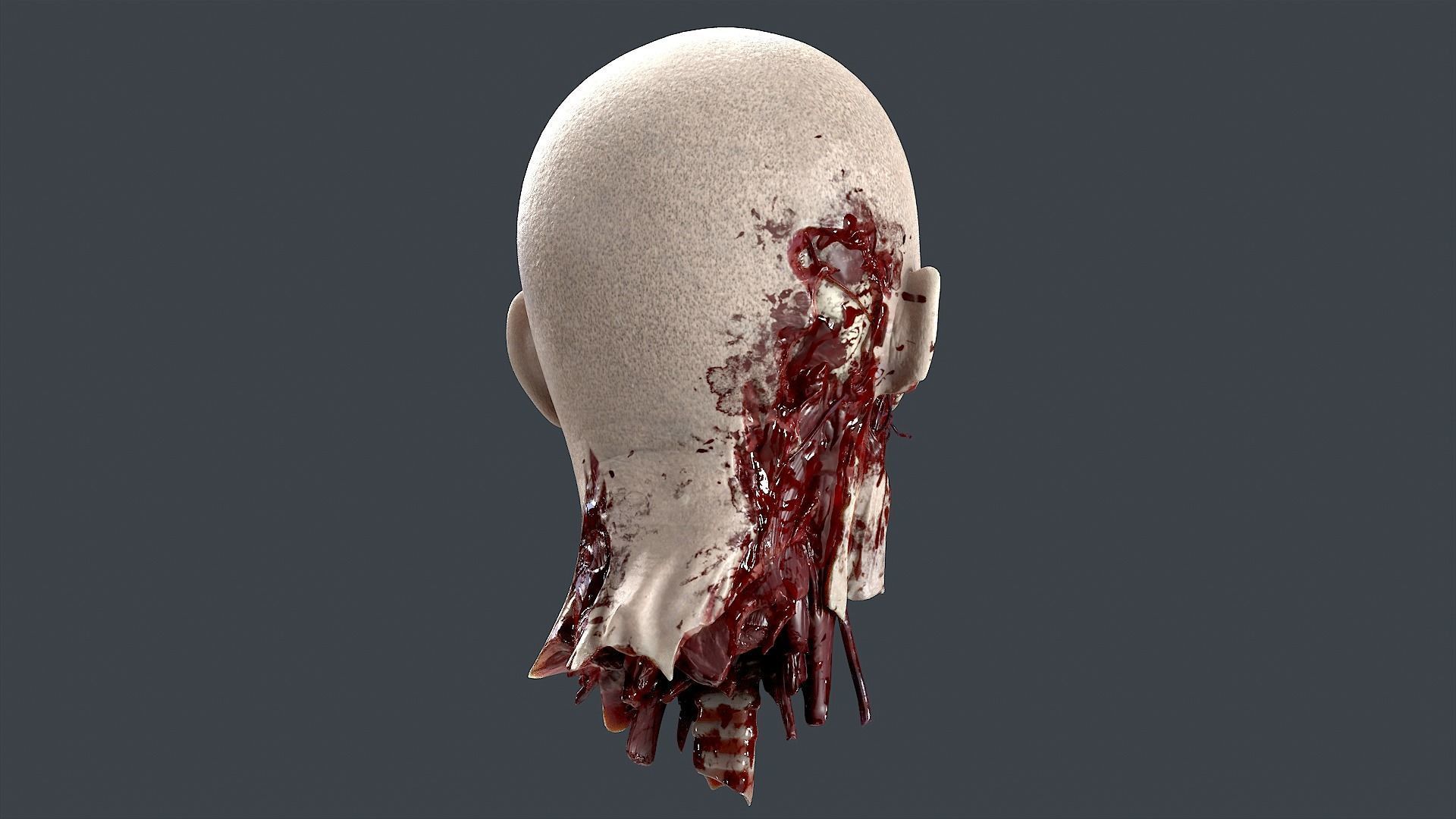 Severed Head 2 Low-poly 3D model_3