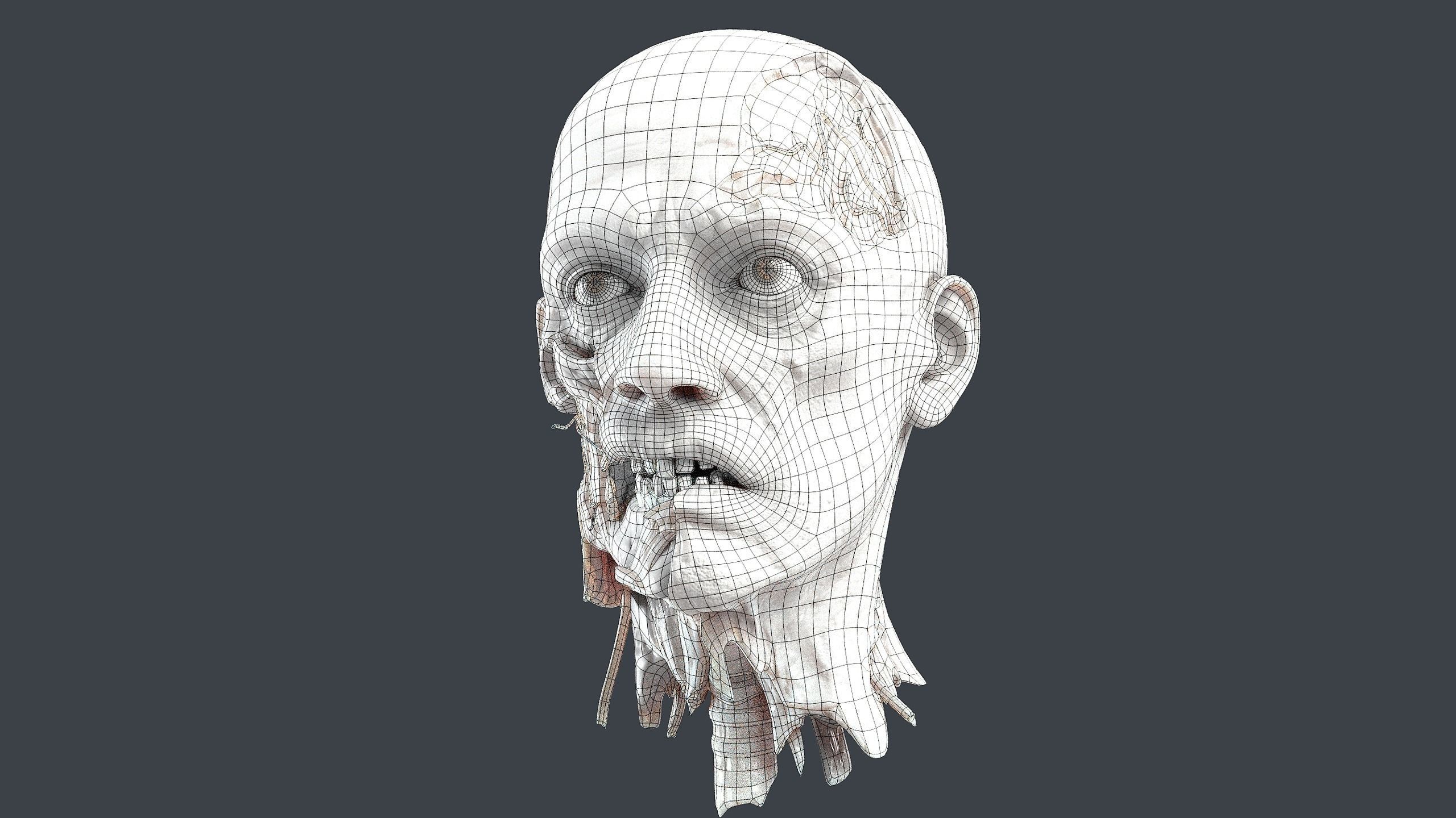 Severed Head 2 Low-poly 3D model_13