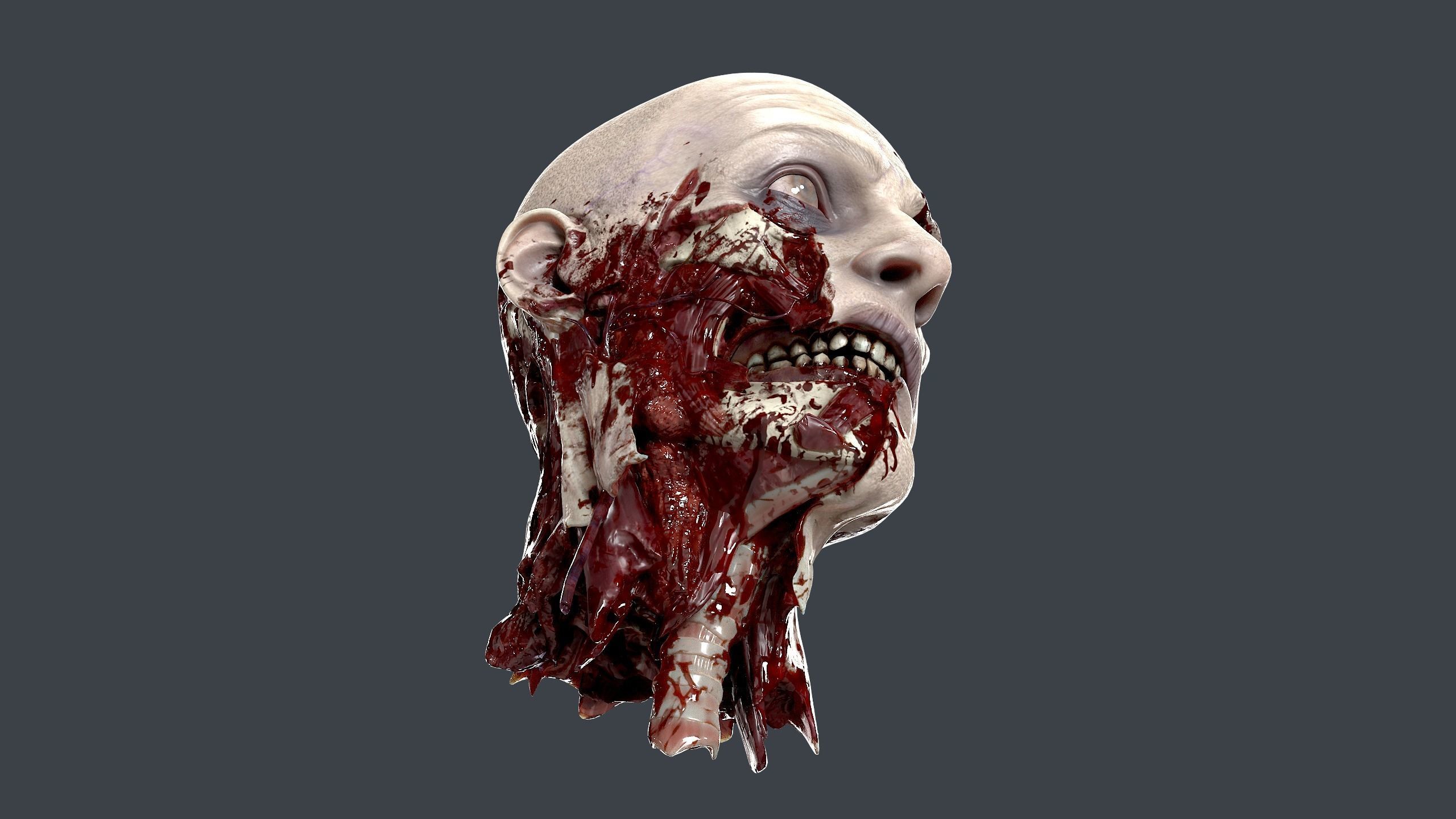 Severed Head 2 Low-poly 3D model_6