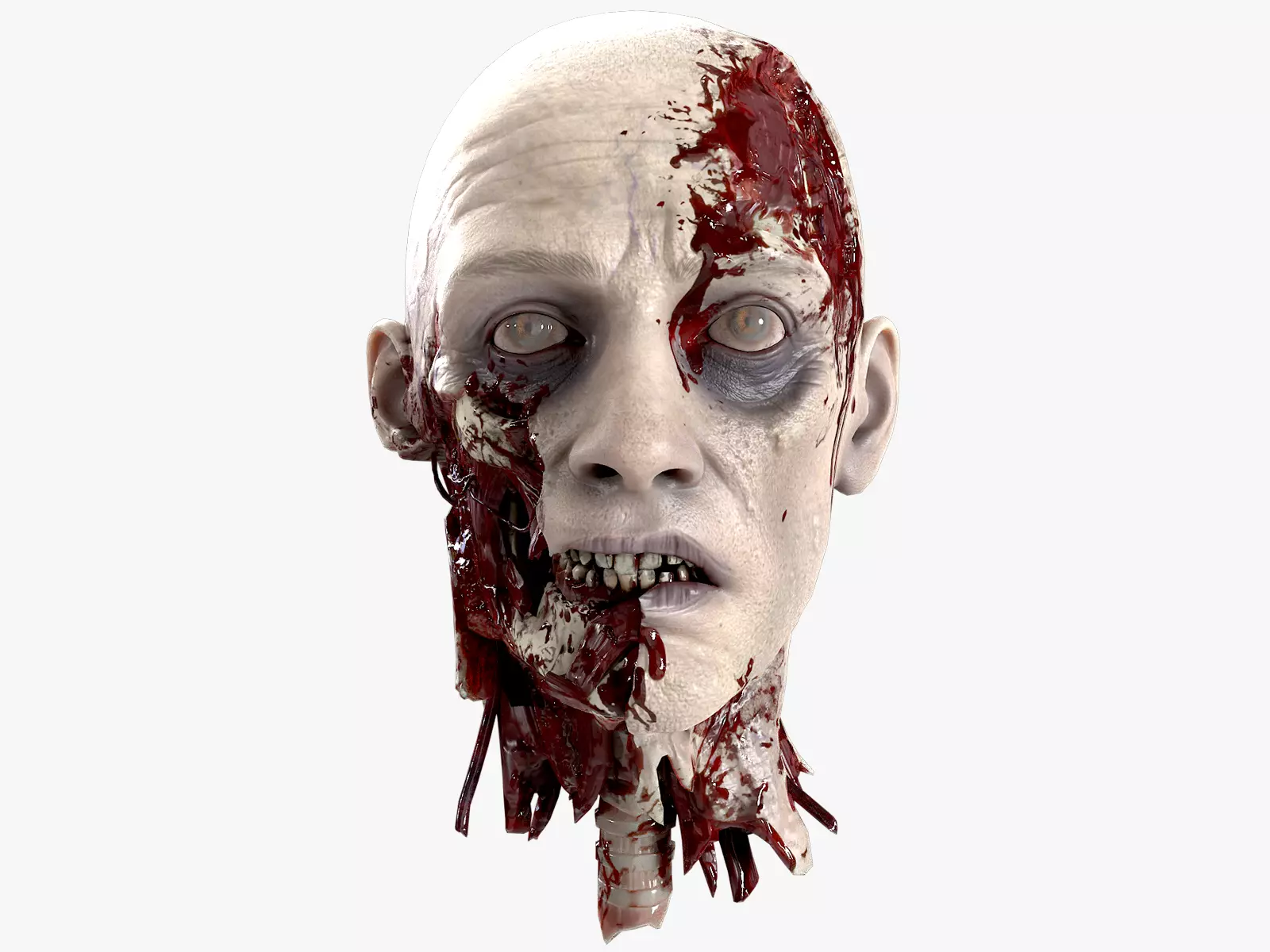Severed Head 2 Low-poly 3D model_0