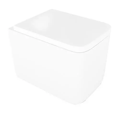 White Porcelain Toilet Bowl 3D model