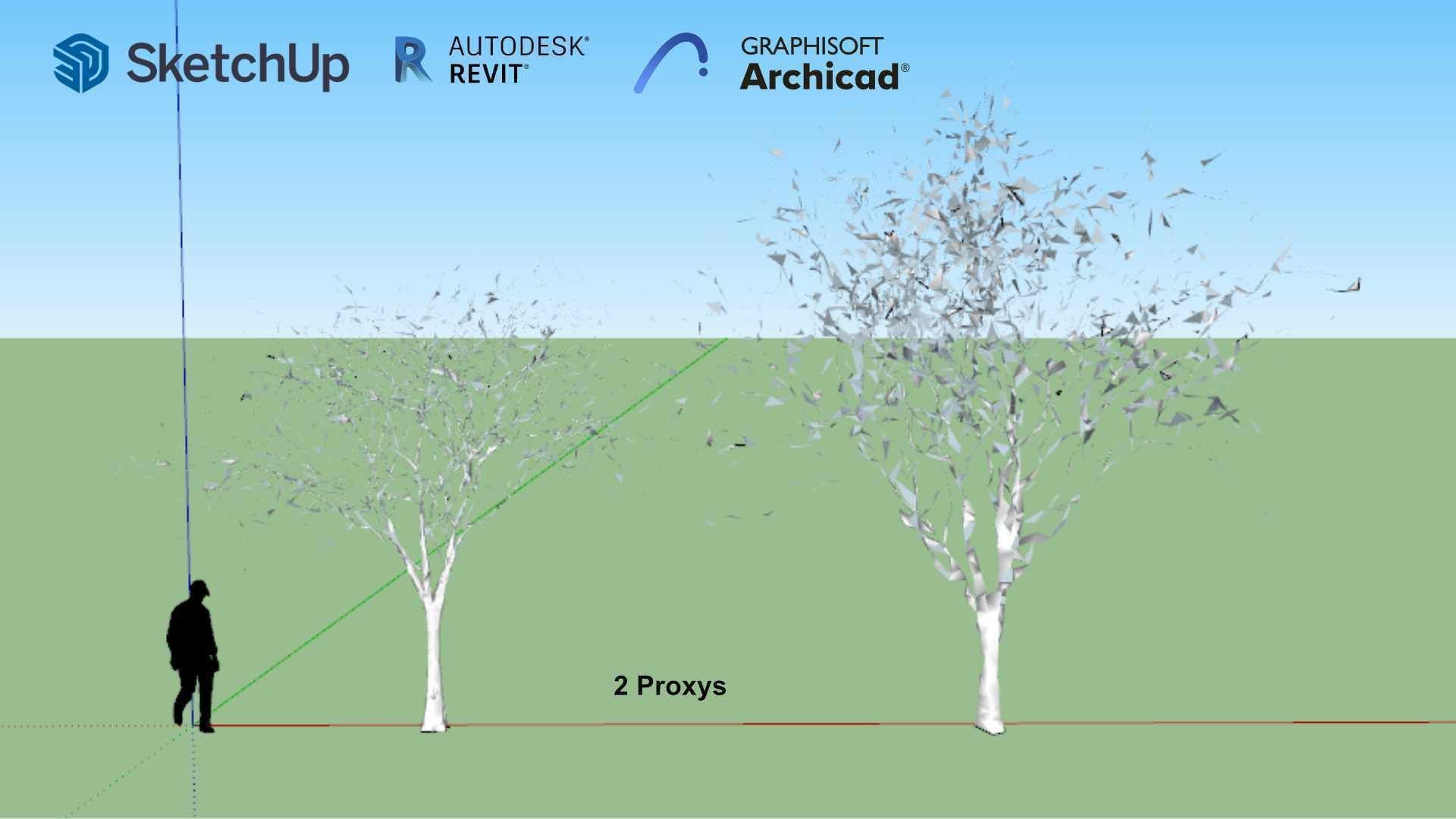 Jacaranda mimosifolia 3D model_1