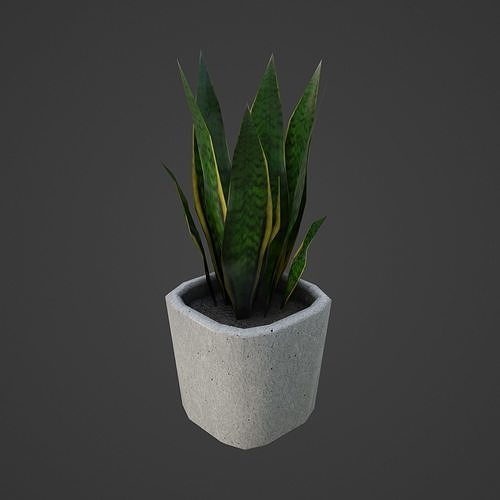 Lowpoly Plant in concrete pot Low-poly 3D model