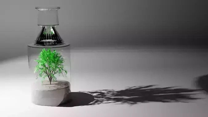 Boutle bottle with plant in it
