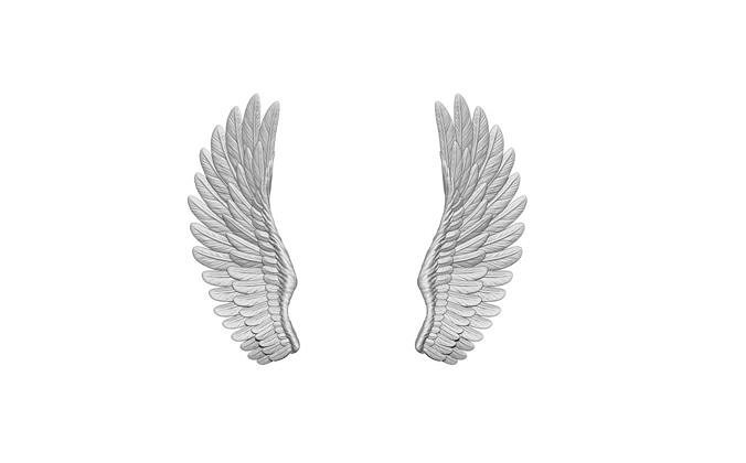 set of two wings left right 3D print model