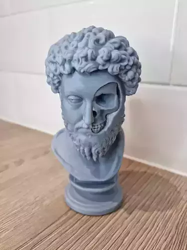 Marcus Aurelius Momento Mori Bust 3D print model