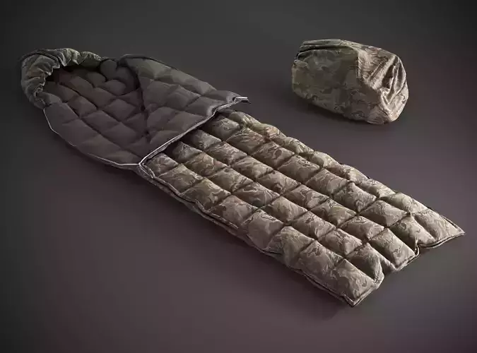 Sleeping bag