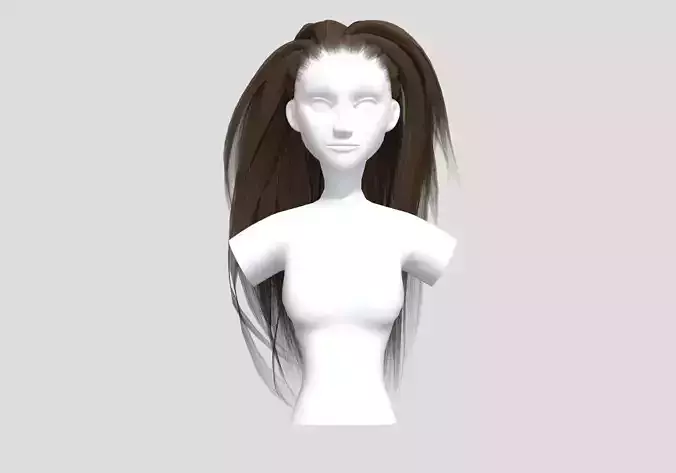 Wide Pigtail Hairstyle 