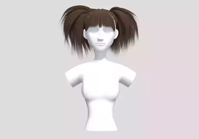 Up Pigtails Hairstyle 