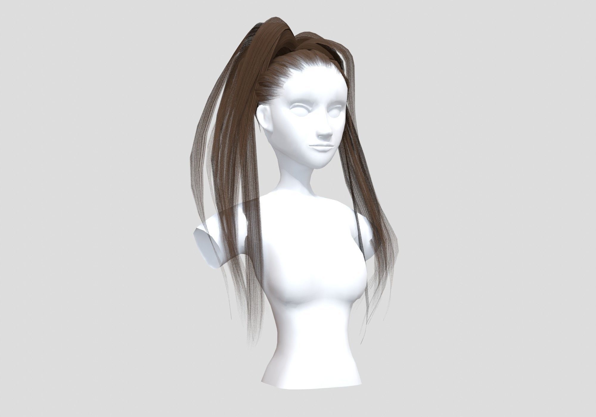 Thin Pigtail Hairstyle  3D model_1