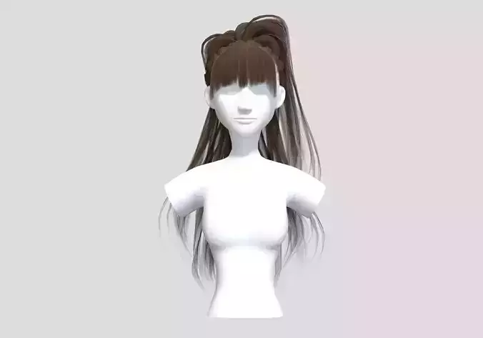 Stylized Pigtail Hairstyle 