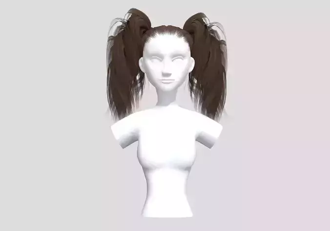 Pigtails Up Hairstyle 