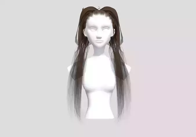 Pigtails Female Hairstyle 