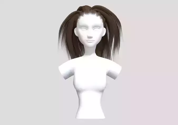 Pigtail Wide Hairstyle 