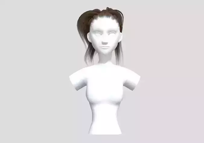 Pigtail Up Hairstyle  3D model