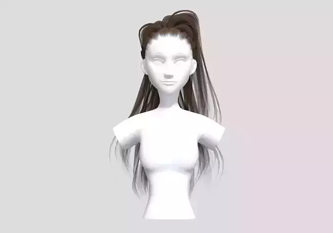 Pigtail Stylized Hairstyle 
