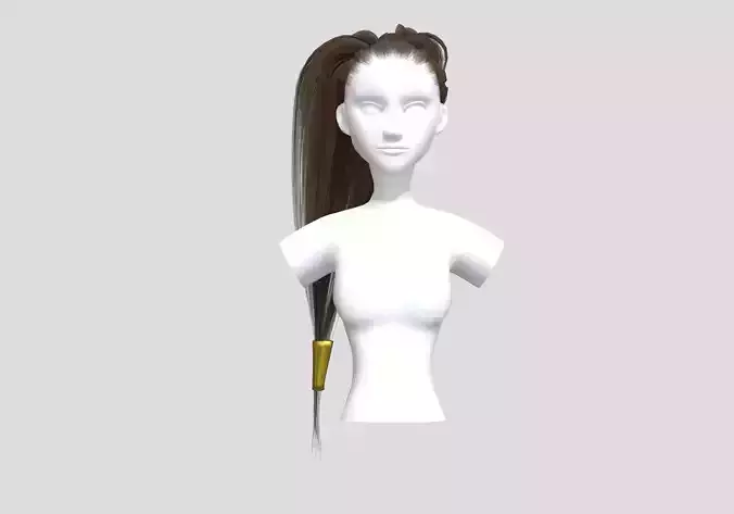 Pigtail Long Hairstyle 