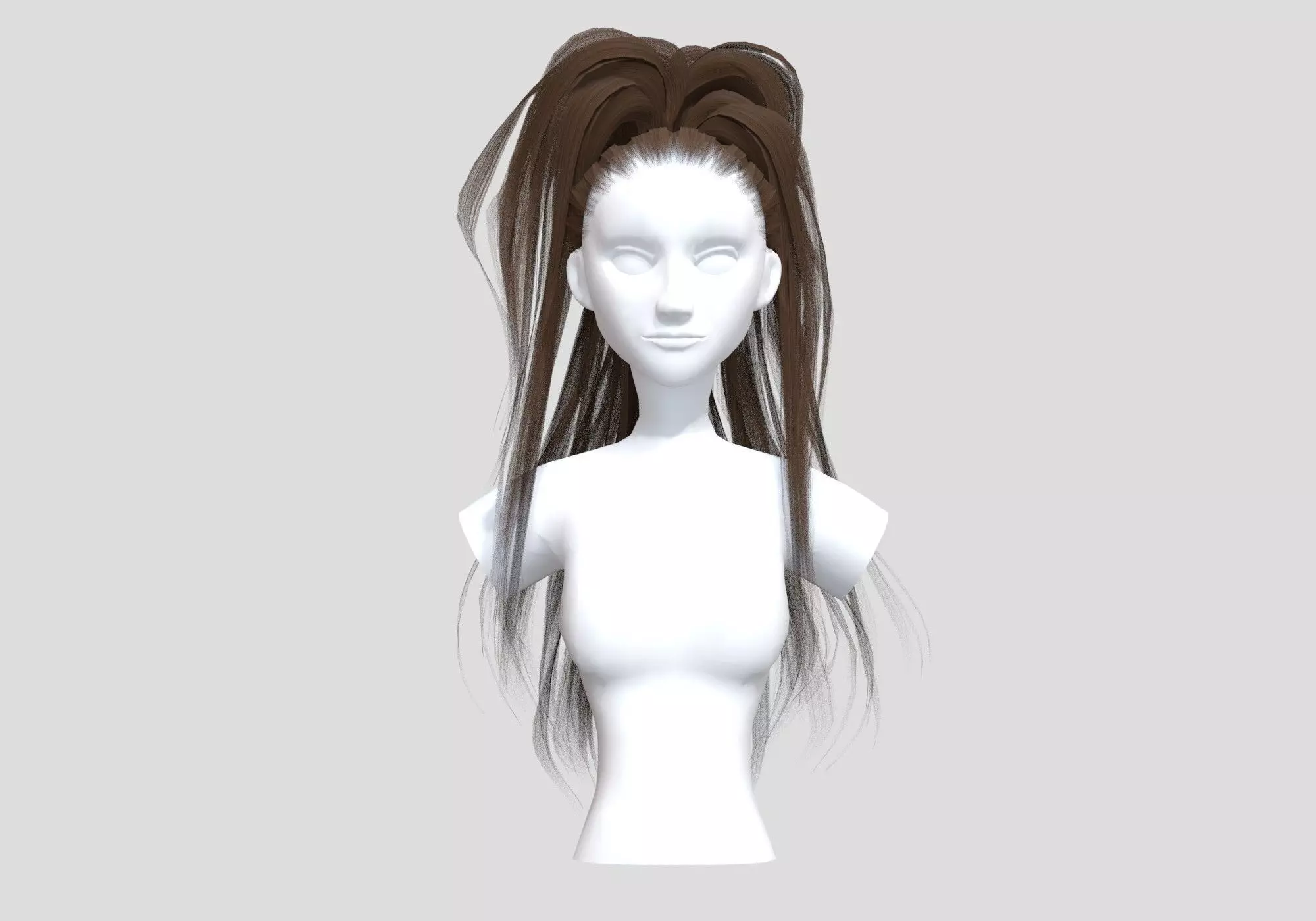 Pigtail High Hairstyle  3D model_0