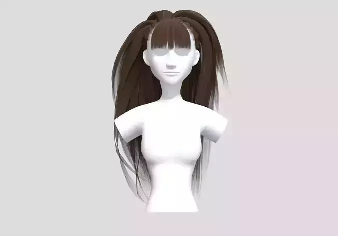 Pigtail Brown Hairstyle 