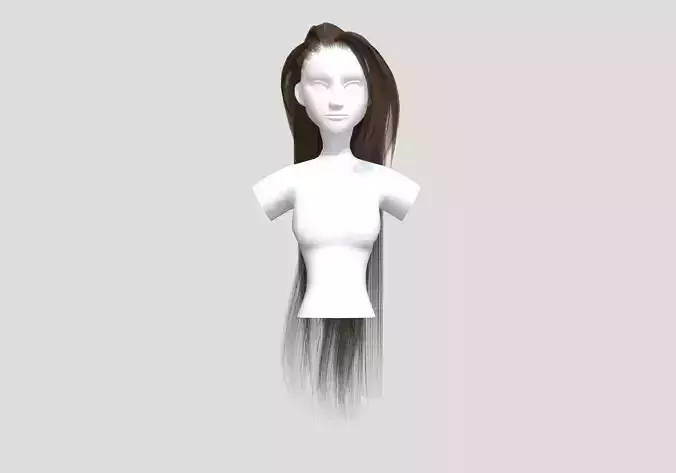 Long Stylized Hairstyle 