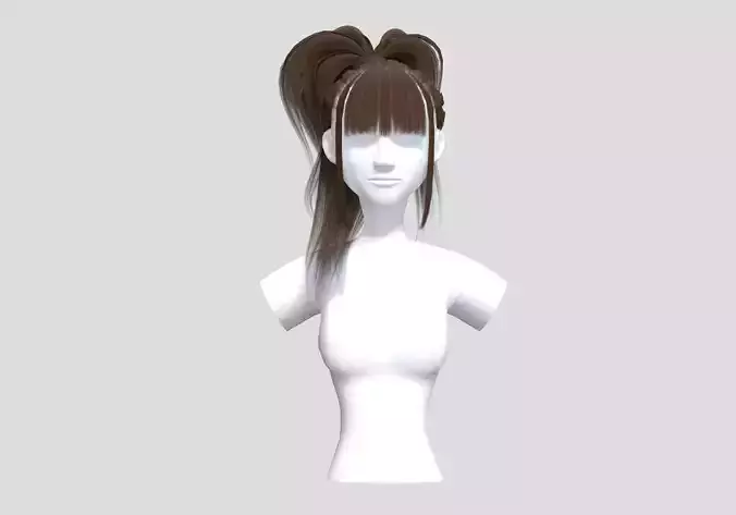 Female Pigtail Hairstyle 
