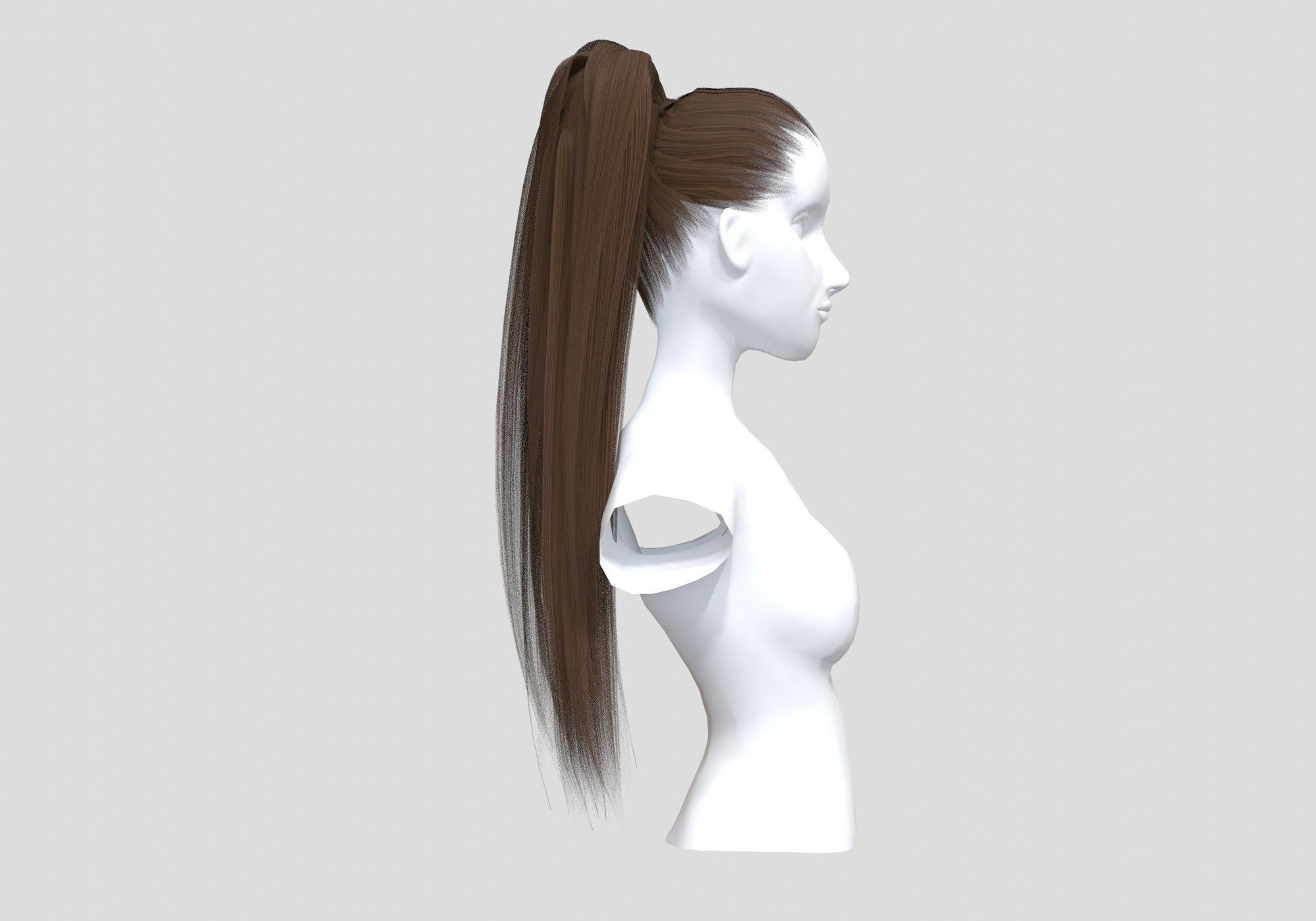 Brown Pigtail Hairstyle 3D model_2