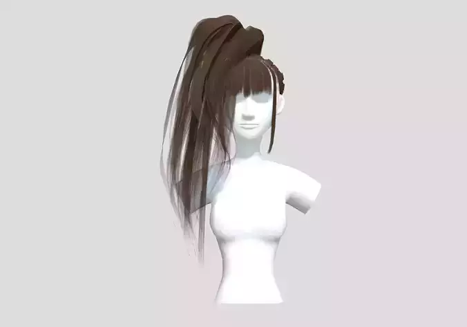 Big Pigtail Hairstyle 