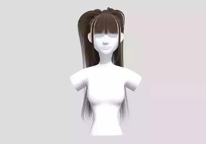 Bangs Pigtail Hairstyle 