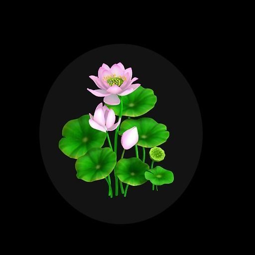 lotus flowers 3D model_1
