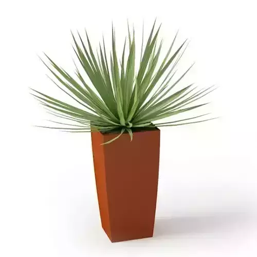 Pointy Leaf Plant In Rust Color Vase