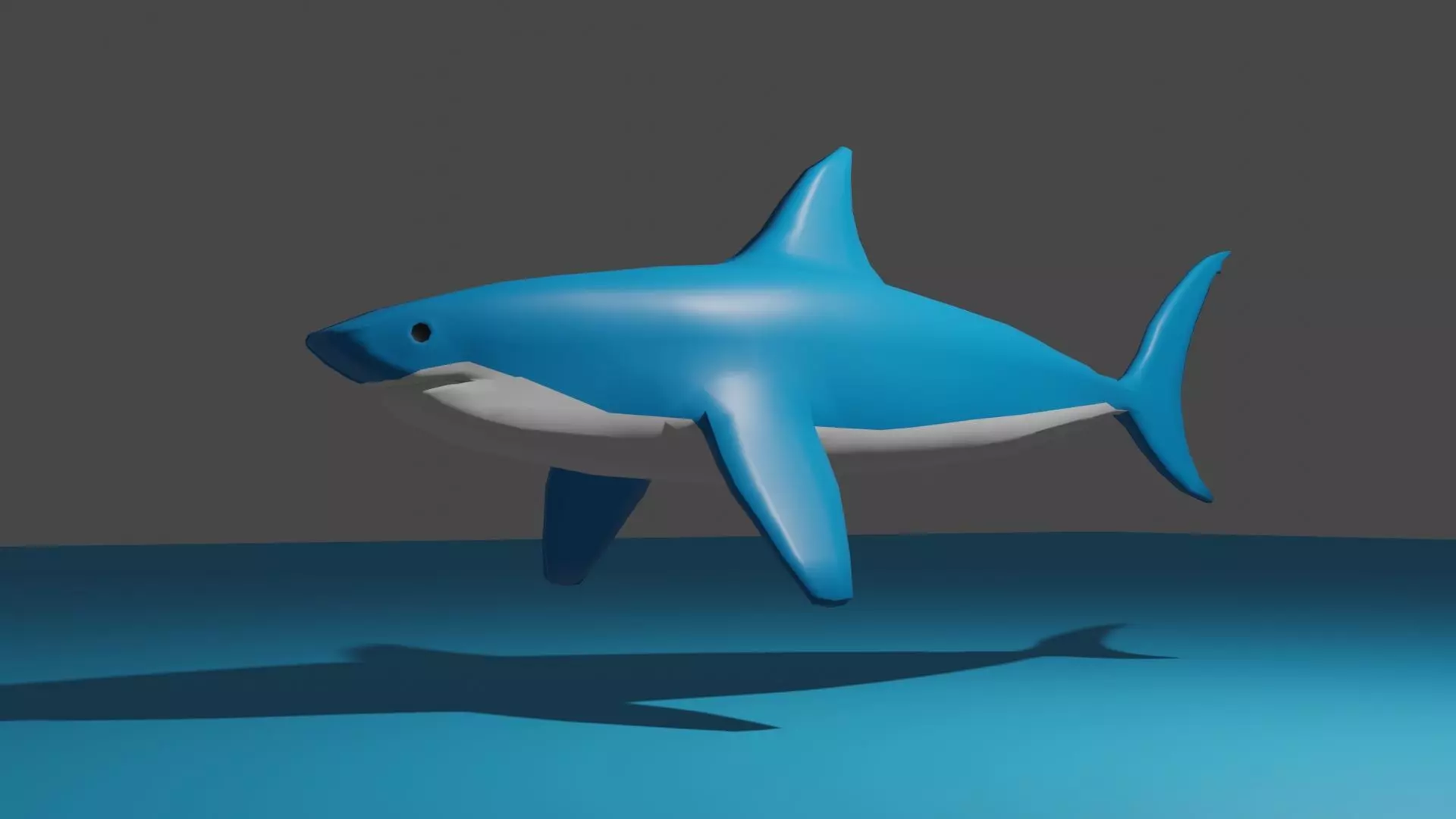 Shark low poly 3D model_0