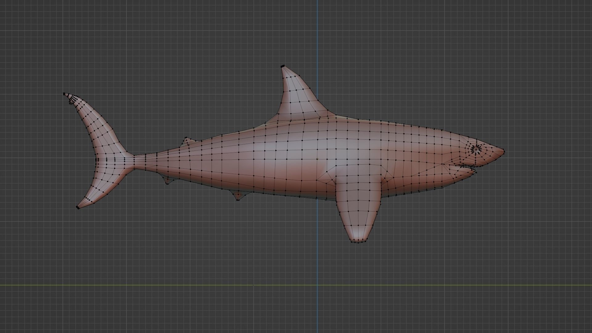 Shark low poly 3D model_8
