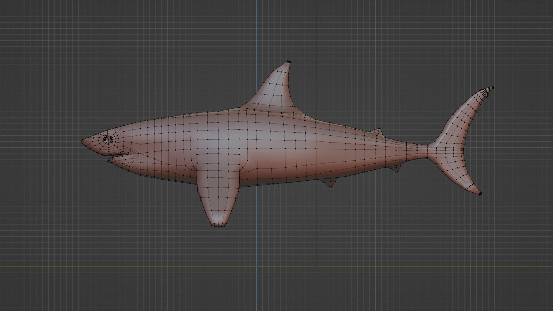 Shark low poly 3D model_6