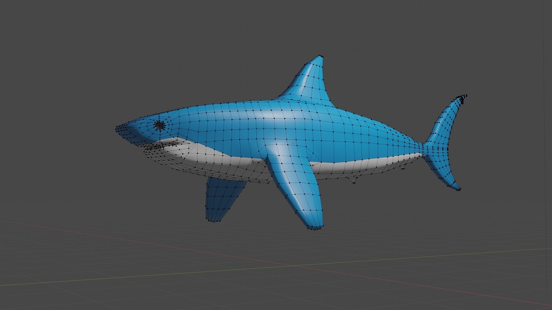 Shark low poly 3D model_2