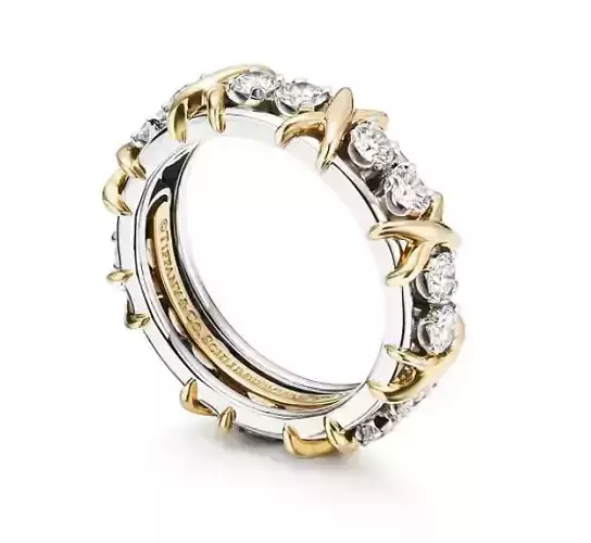 Tiffany  Co Schlumberger Sixteen Stone Ring 3D print model