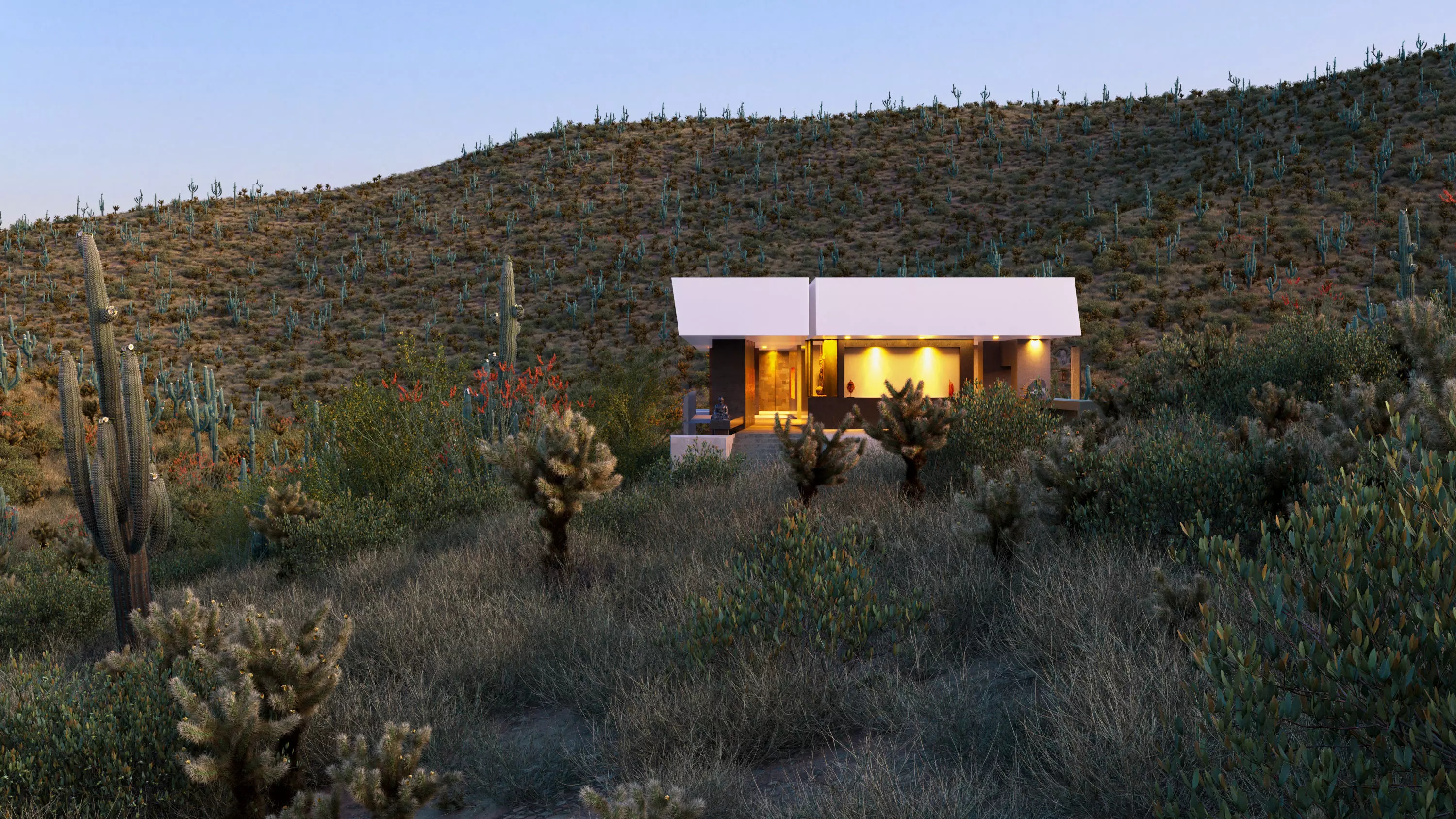 Collection 23-Mexican Plants 3D model_0