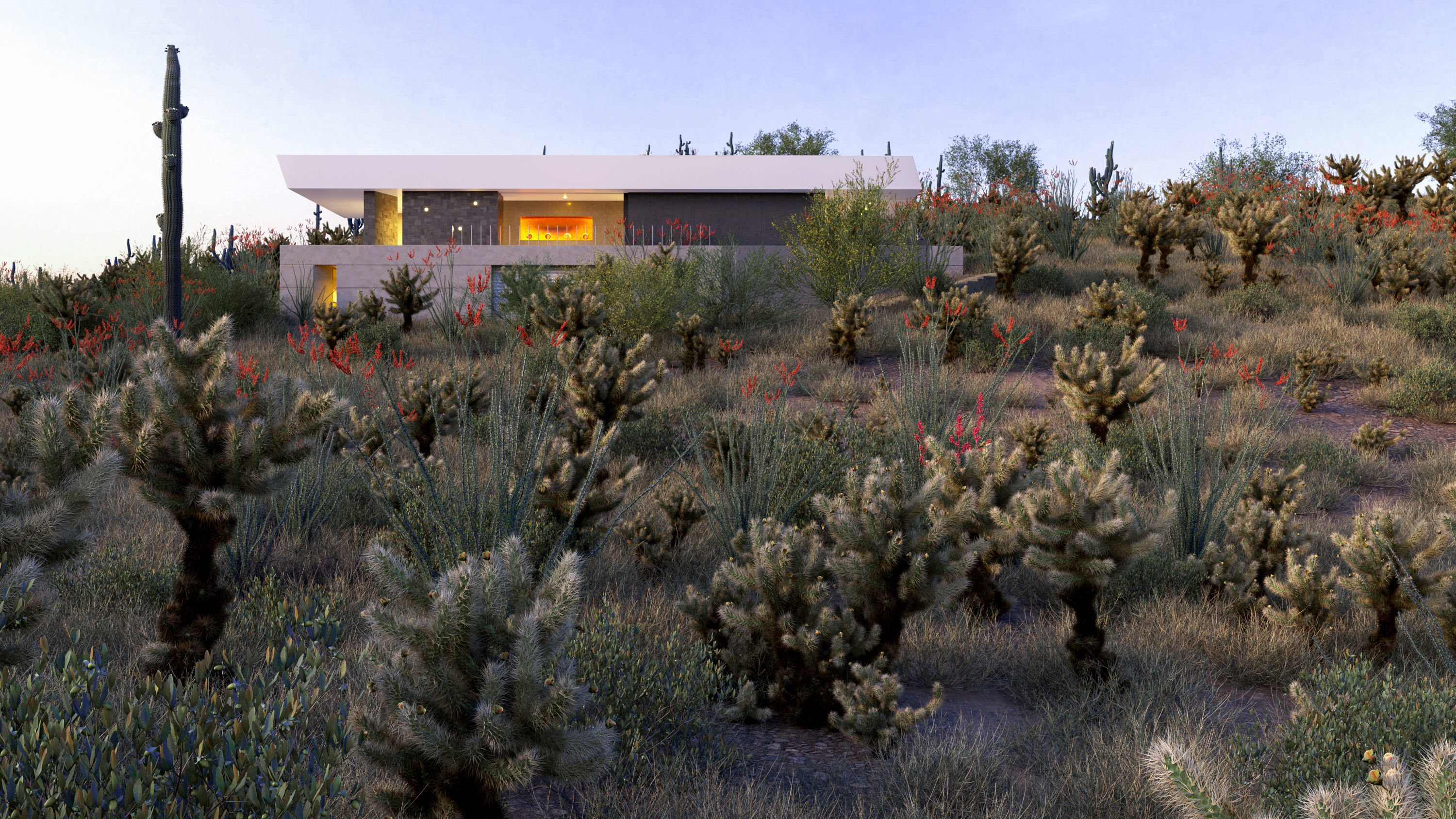 Collection 23-Mexican Plants 3D model_1