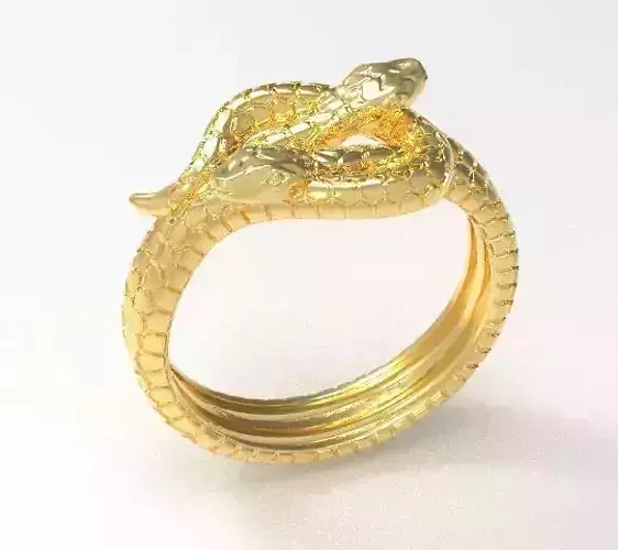 Double snake ring