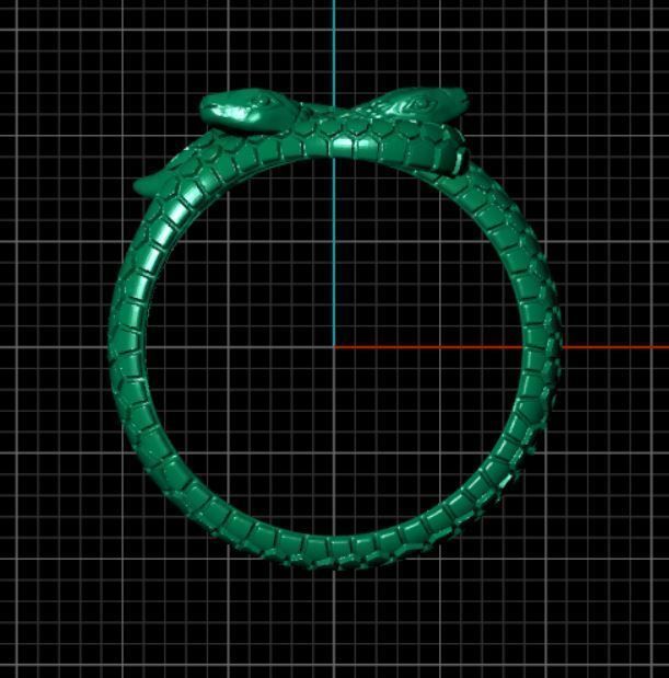 Double snake ring 3D print model_8