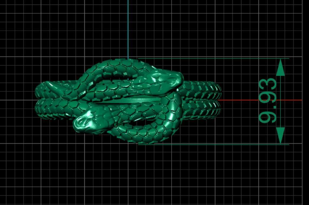 Double snake ring 3D print model_7