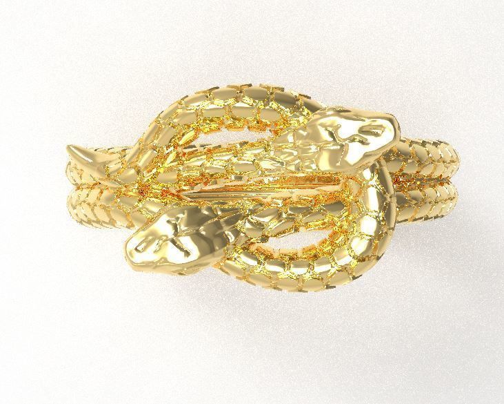 Double snake ring 3D print model_5