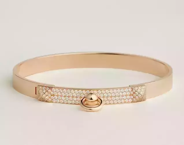 Collier de chien bracelet