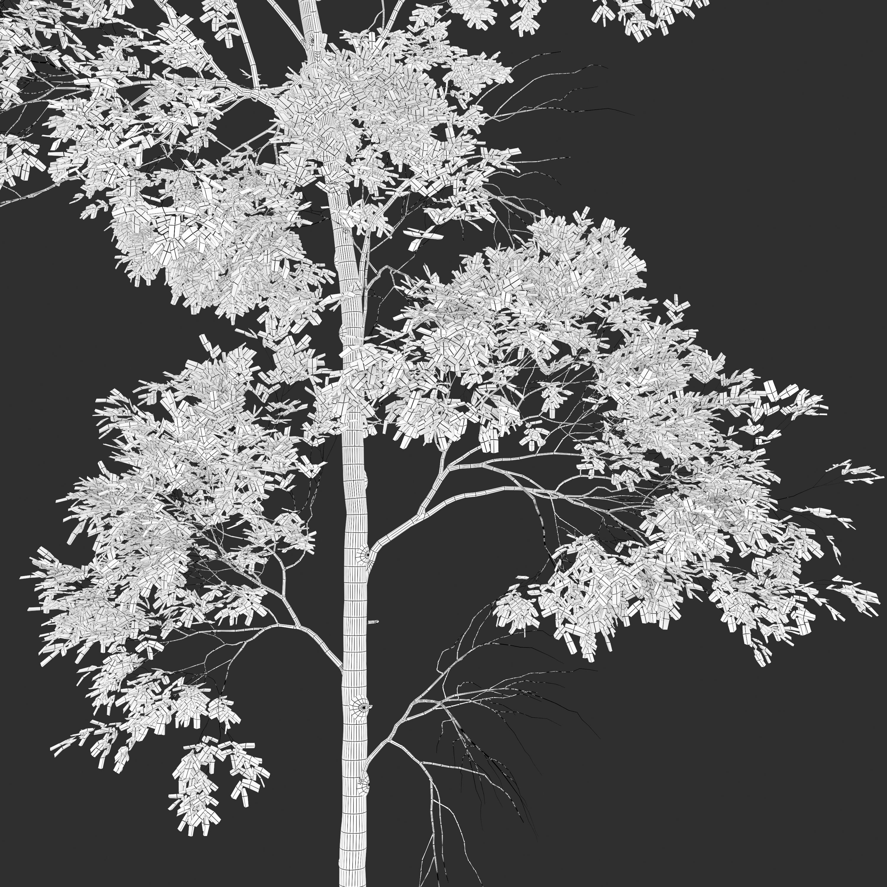 Ash tree set 02 3D model_6